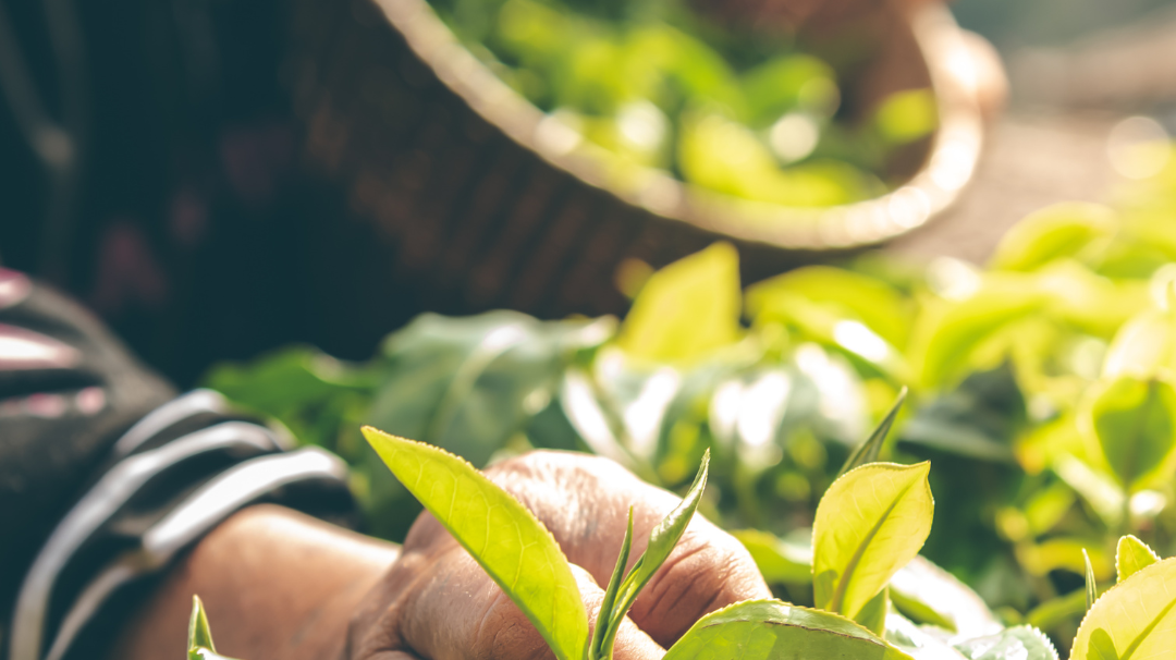 What is sustainability in 2026?