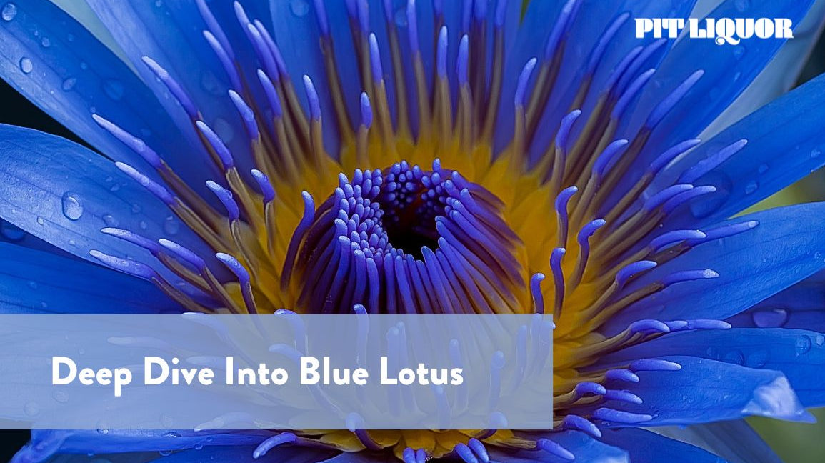 Deep Dive Into Blue Lotus