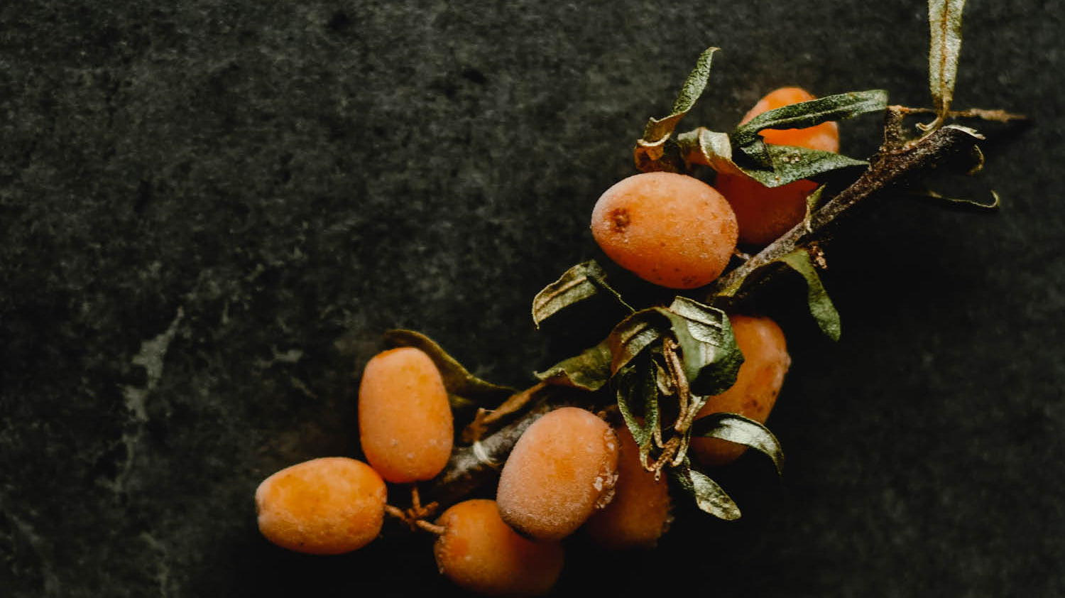 Sea Buckthorn berries on stone