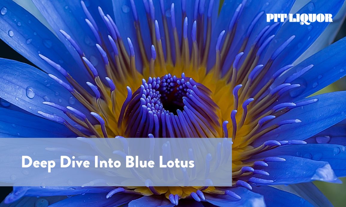 Deep Dive Into Blue Lotus