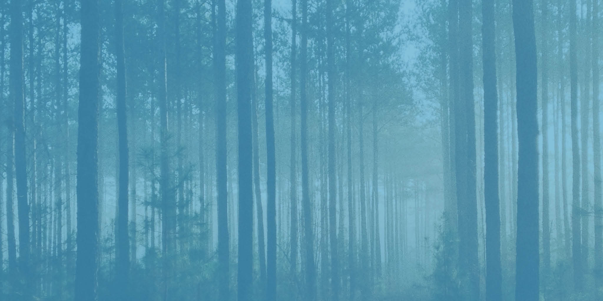 TAKE 15% OFF YOUR FIRST ORDER